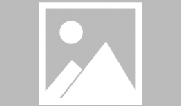 娱乐圈吃瓜陈冠希是谁啊,娱乐圈风云人物揭秘